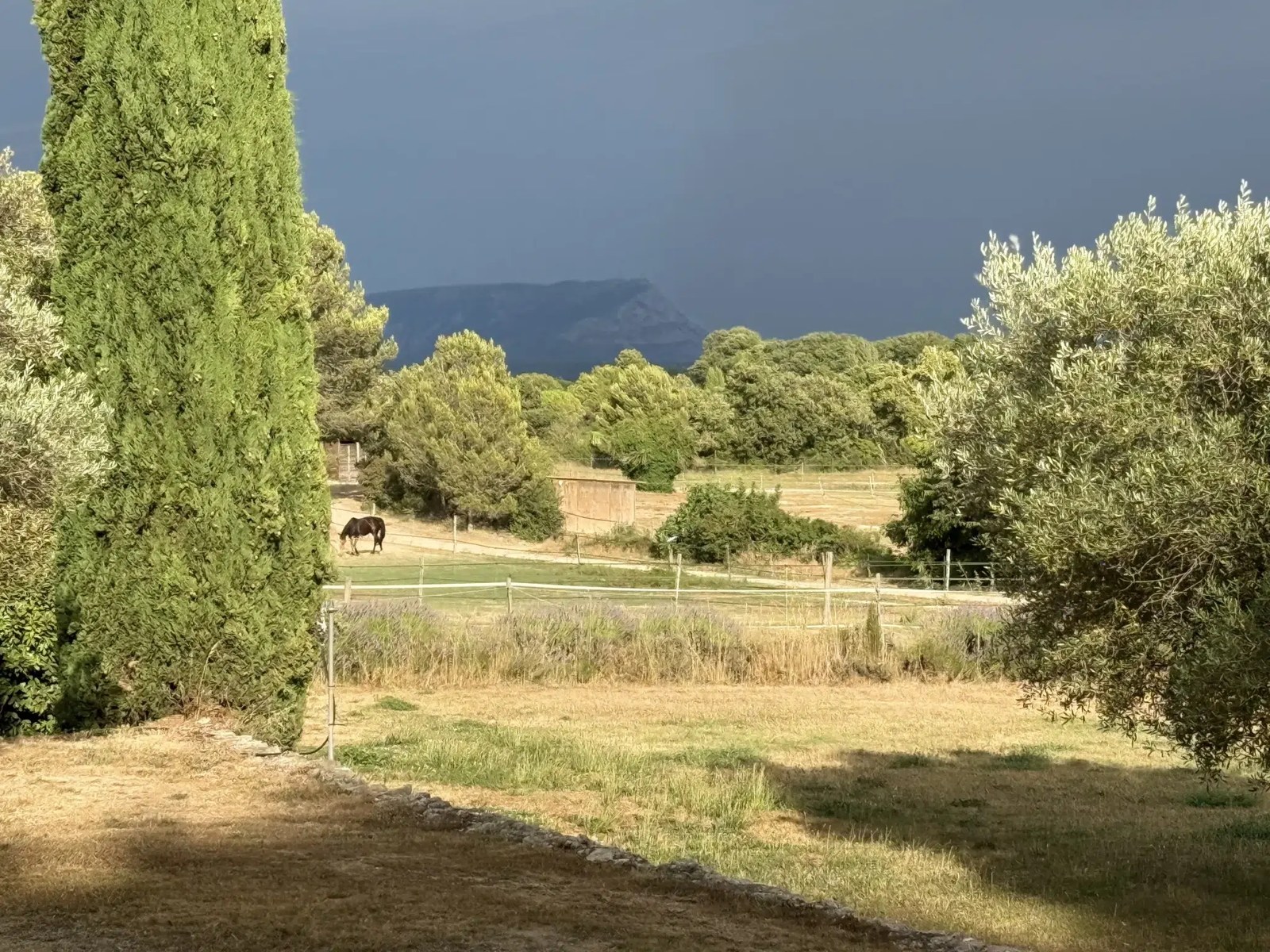 02-vue-chevaux-haras-depuis-le-parc-1
