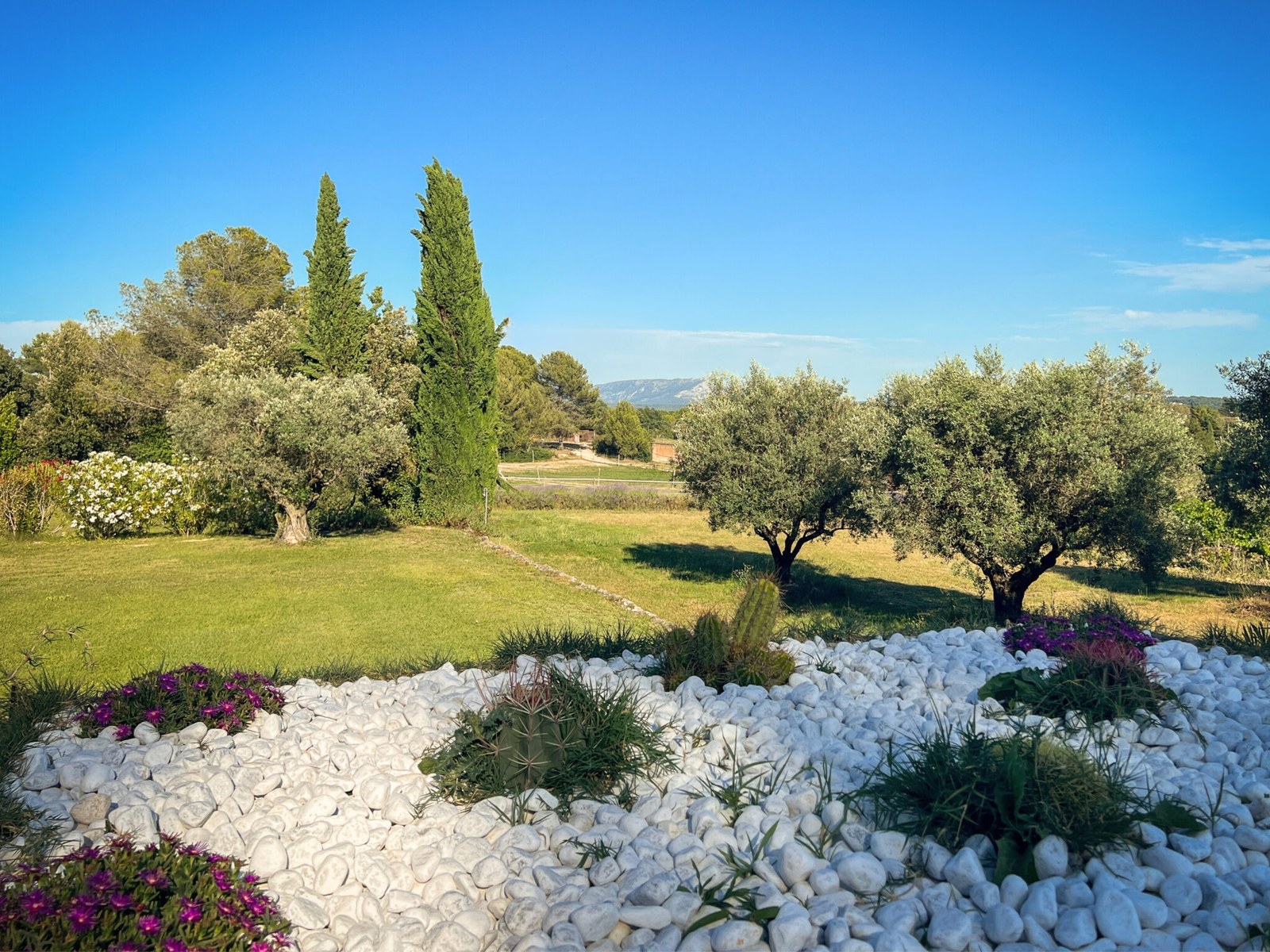 03-parc-oliviers-vue-sainte-victoire-1
