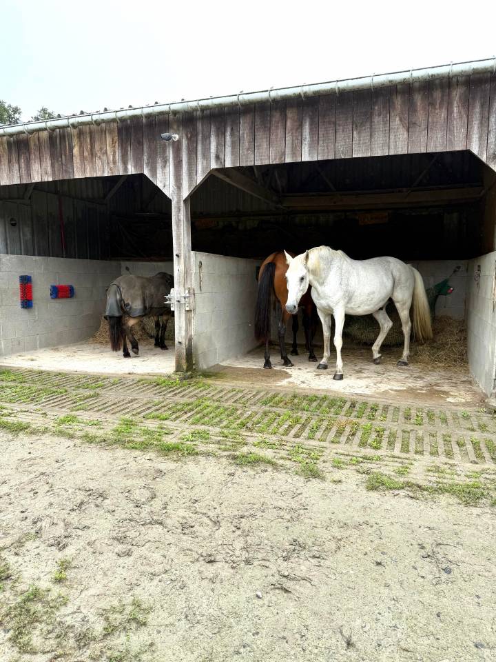 980258_1765391051_2228