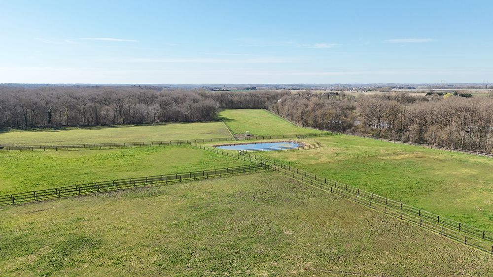 dji_20250319114719_0868_d-1k-jpeg