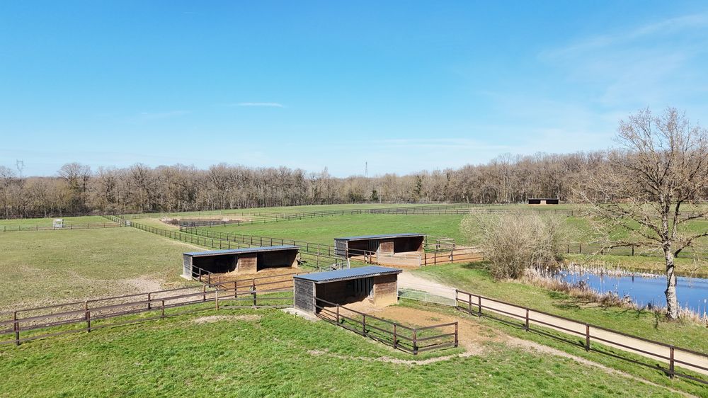 dji_20250319115038_0876_d-1k-jpeg