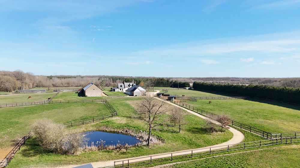 dji_20250319115059_0877_d-1k-jpeg
