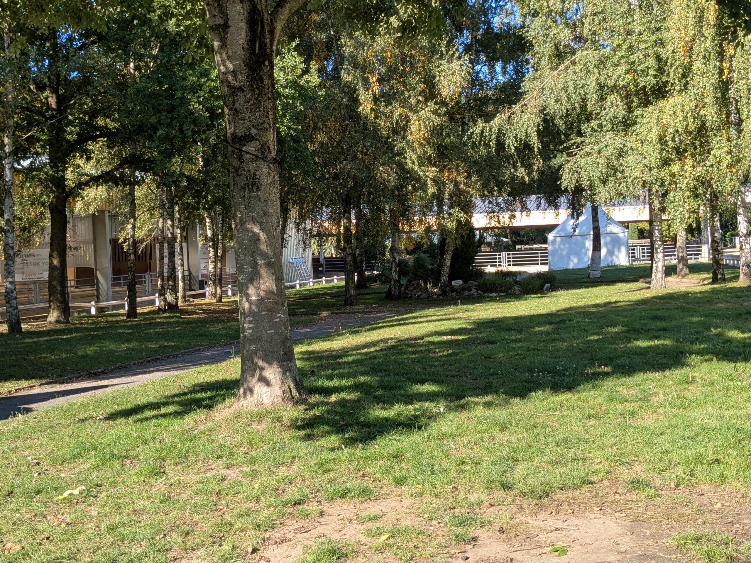 pxl_20250930_091835943