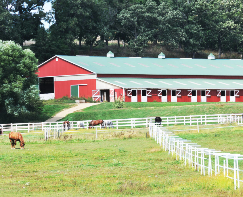 Annonces propriétés équestre Horse Realty